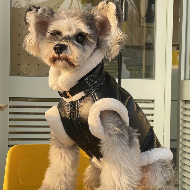 Winter Clothing For Dogs - Pet Autumn Winter Velvet Sleeveless Vest