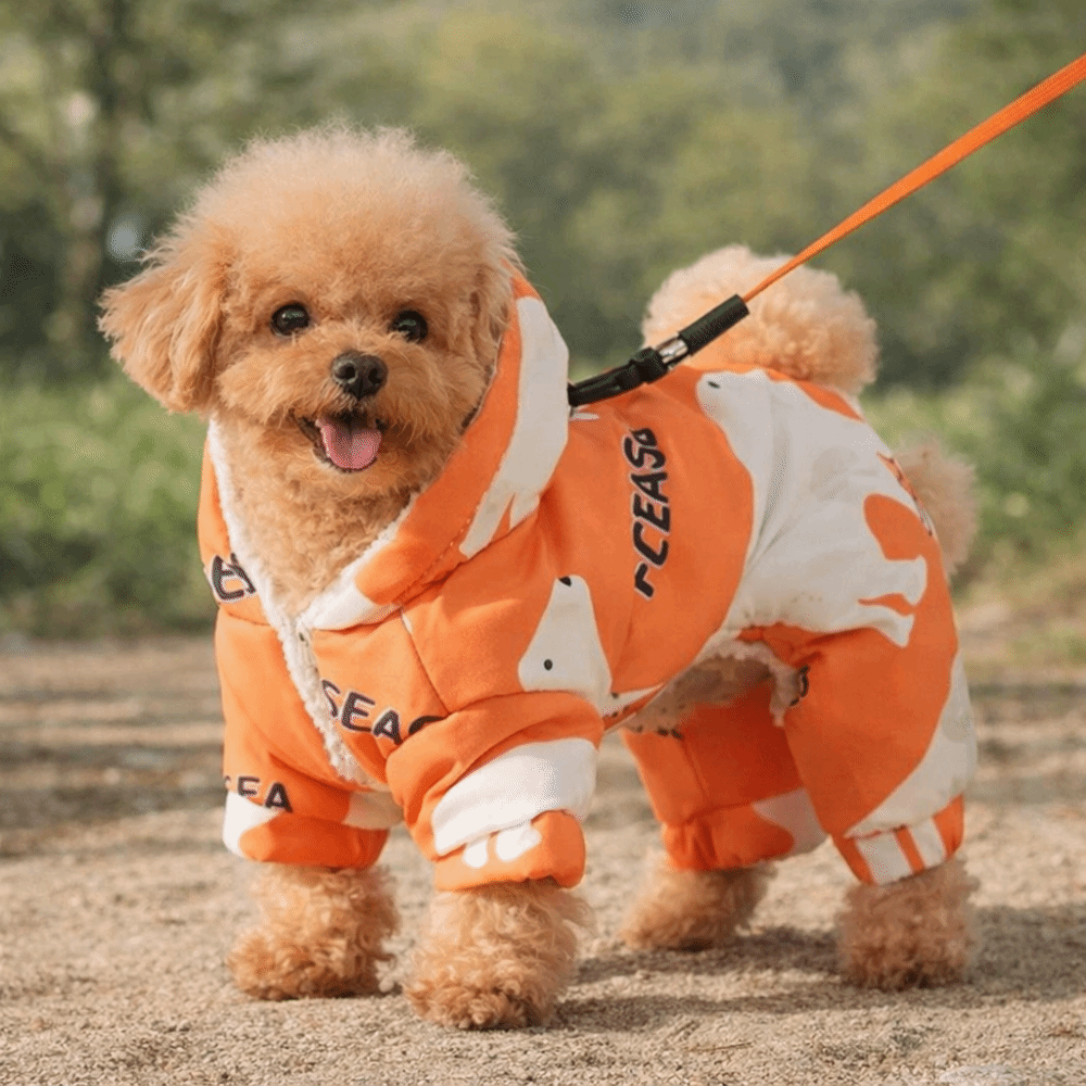 Winter Clothing For Dogs - Cute Warm Dog Winter Clothes Anti-Shedding