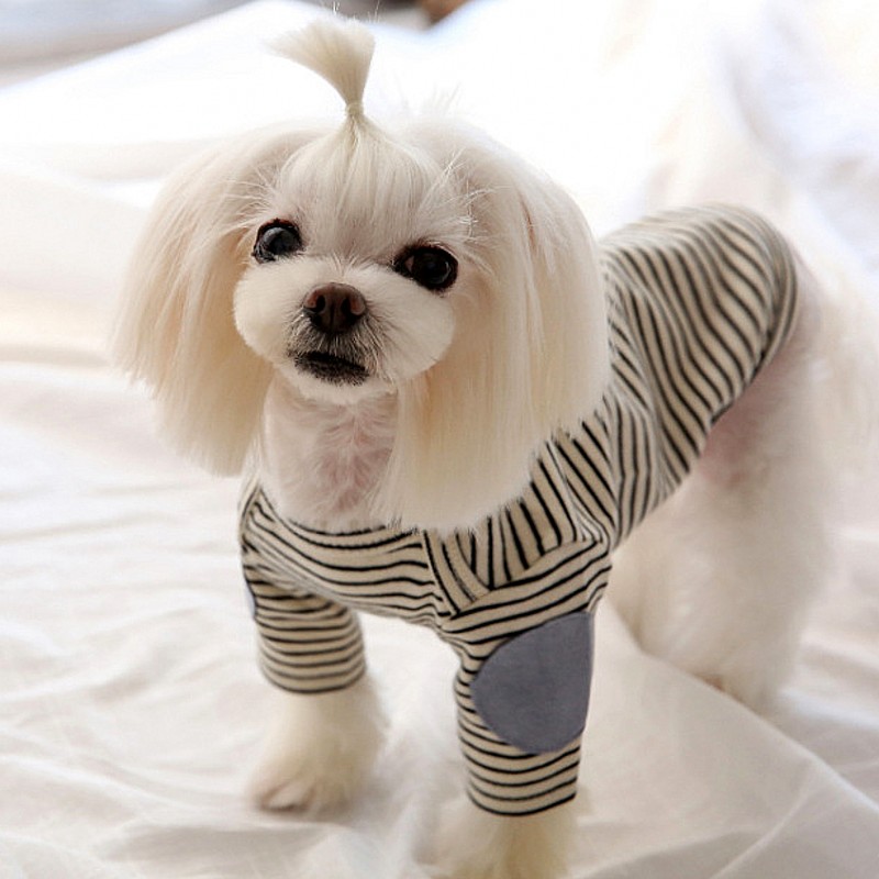 Thin Pet Dog Hoodies Fleece Do - Winter Clothing For Dogs review and price