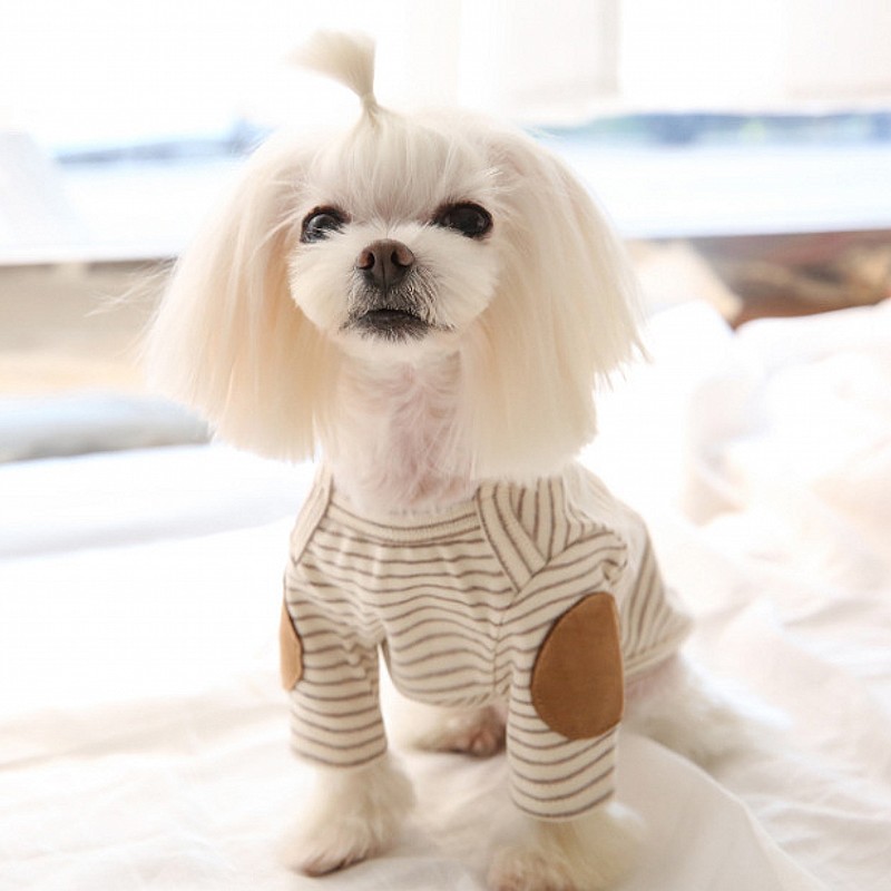 Thin Pet Dog Hoodies Fleece Do - Winter Clothing For Dogs review and price