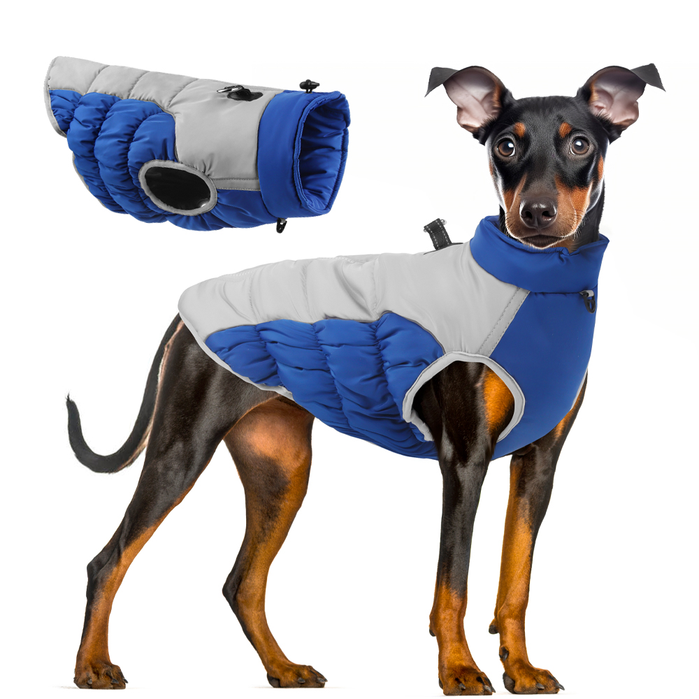Winter Clothes for Dogs Windpr - Winter Clothing For Dogs review and price