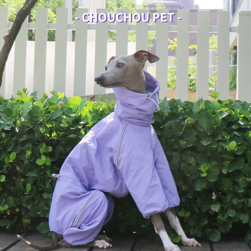 Italian Greyhound Raincoat Aut - Winter Clothing For Dogs review and price