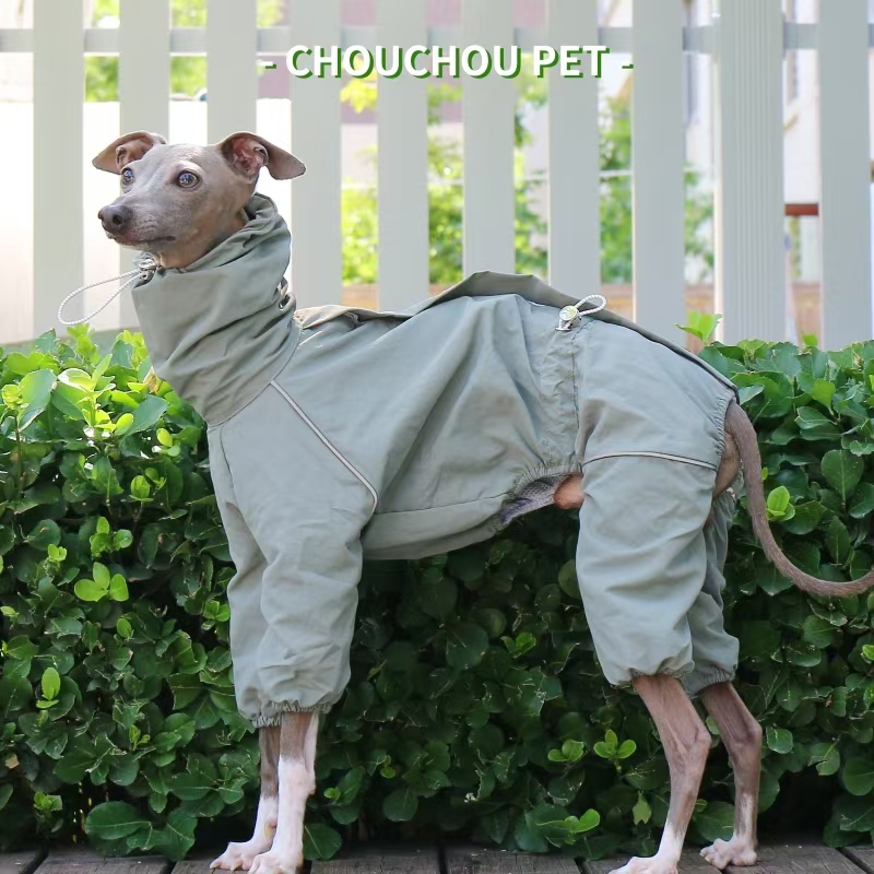 Italian Greyhound Raincoat Aut - Winter Clothing For Dogs review and price