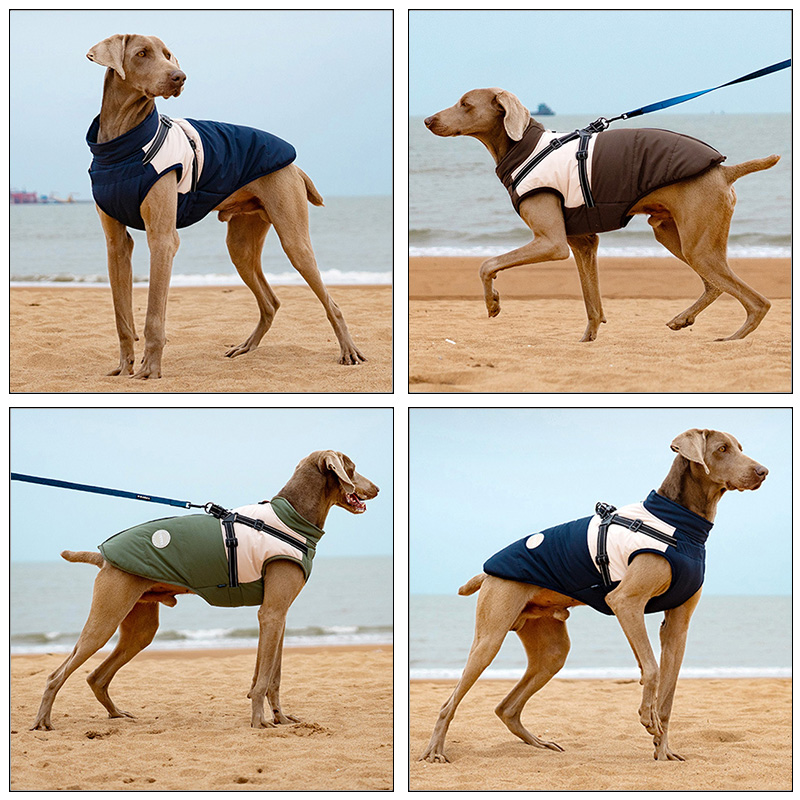 Warm Dog Vest With Built-in Ha - Winter Clothing For Dogs review and price
