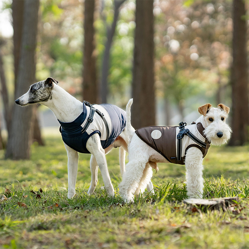 Warm Dog Vest With Built-in Ha - Winter Clothing For Dogs review and price