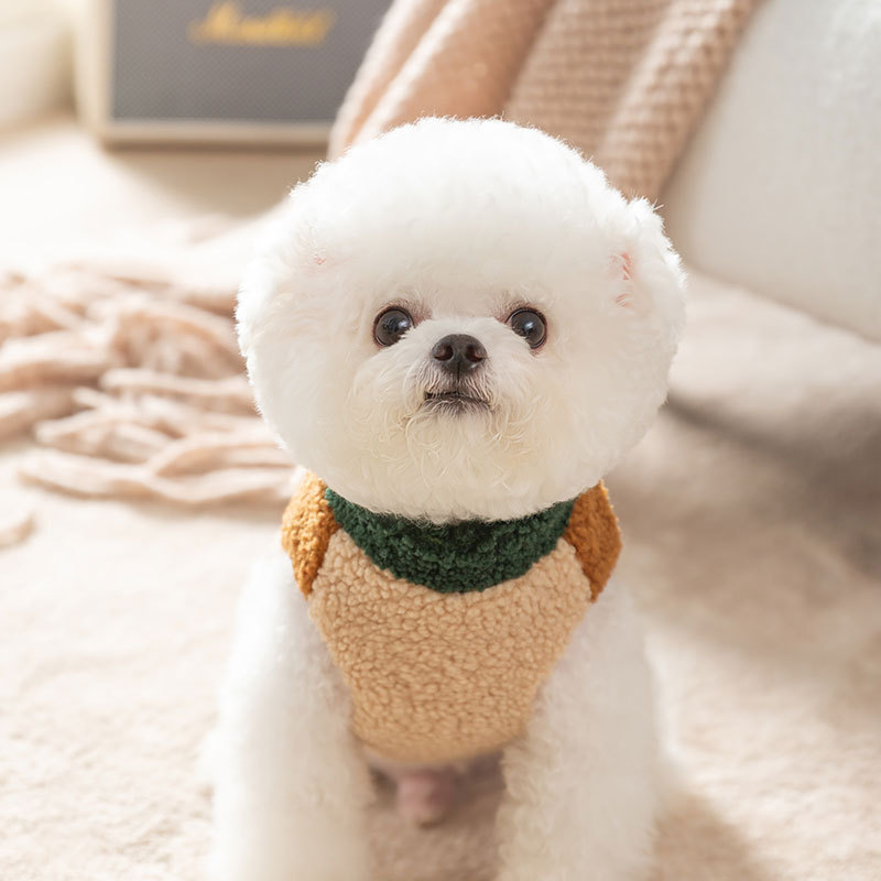 Brown Pet Jacket Autumn and Wi - Winter Clothing For Dogs review and price