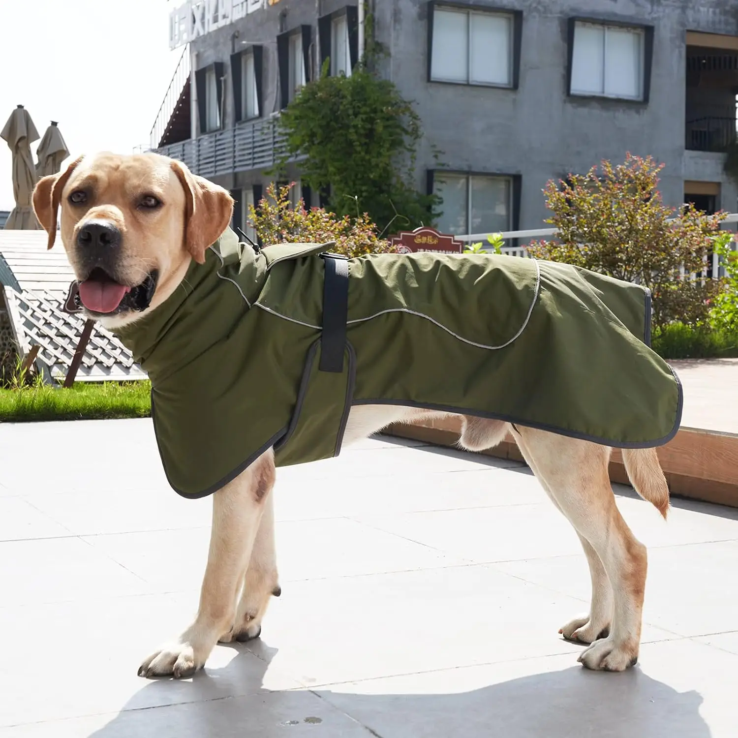 Winter Clothes for Dogs Windpr - Winter Clothing For Dogs review and price