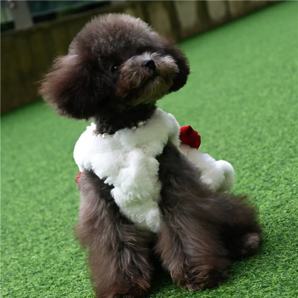 Pet Rabbit Fur Dress Clothes C - Winter Clothing For Dogs review and price