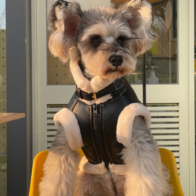 Pet Autumn Winter Velvet Sleev - Winter Clothing For Dogs review and price