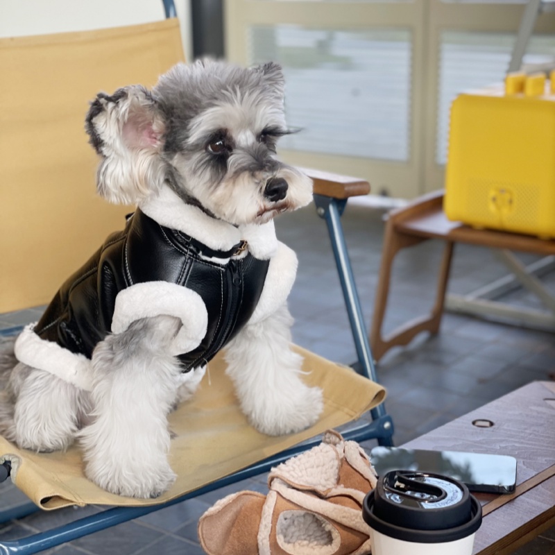 Pet Autumn Winter Velvet Sleev - Winter Clothing For Dogs review and price