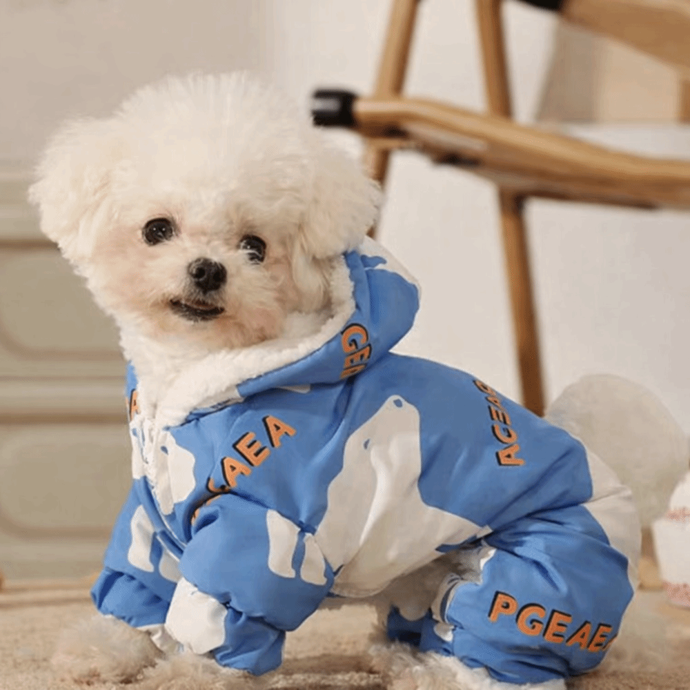 Cute Warm Dog Winter Clothes A - Winter Clothing For Dogs review and price