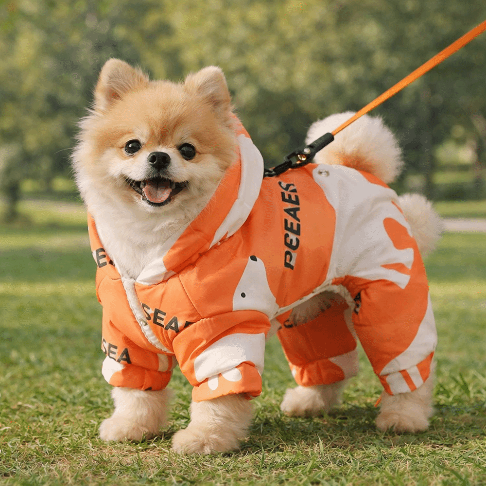 Cute Warm Dog Winter Clothes A - Winter Clothing For Dogs review and price
