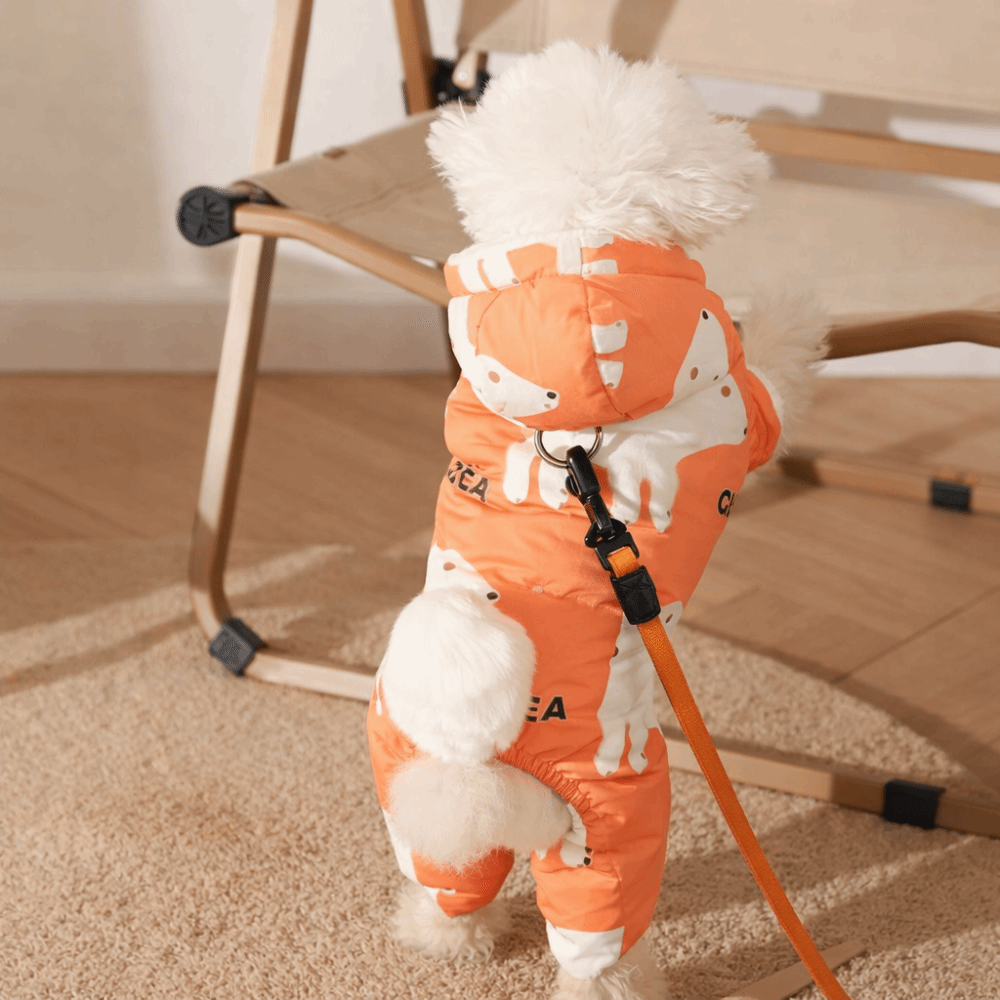 Cute Warm Dog Winter Clothes A - Winter Clothing For Dogs review and price